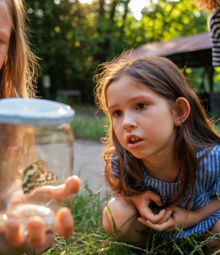 Participatory learning